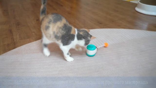 Игрушка для кошек (интерактивная неваляшка)