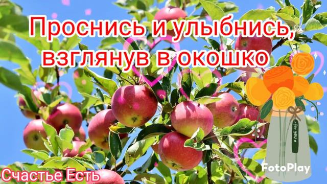 С Добрым Утром! 🍫🍫🍫☕Шикарного Летнего Утра! 💖💖💖