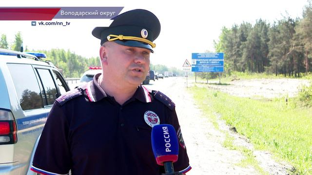 В Нижегородской области участились ДТП с участием лосей