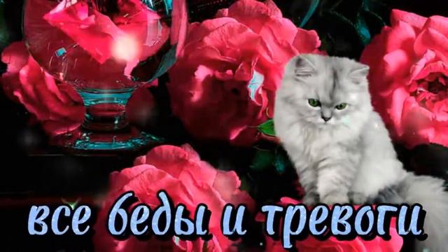Добрый вечер, самое очаровательное пожелание