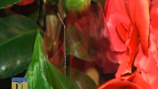 Весна у студії декору і флористики "Букетики"