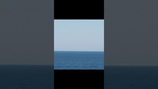 VID_20230914_153326.mp4
