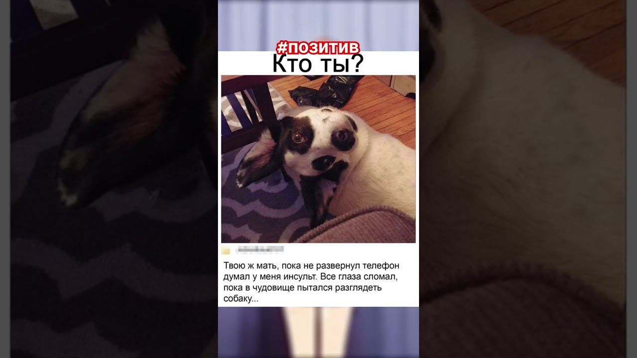 #позитив #поззи #мем #актив #прикол Хороших выходных ☺