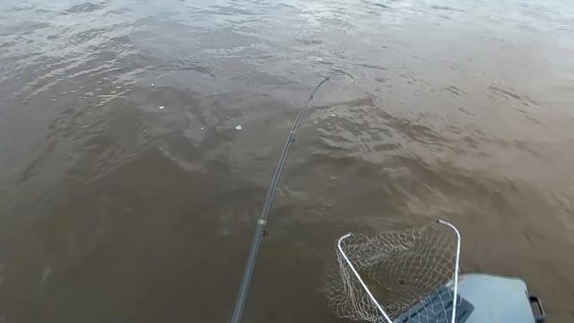 по ранжиру.mp4