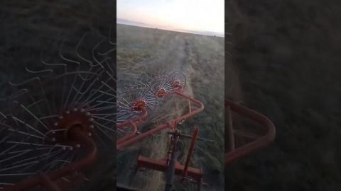 Испытания новой гребки ворошилки Д-пол .