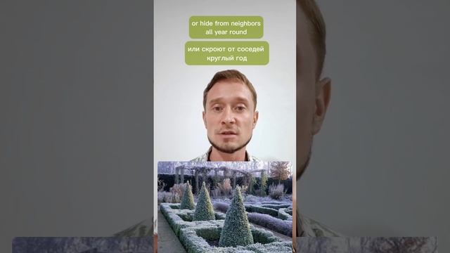 4 типа  растений и типичные ошибки. 4  types of plants and typical mistakes.