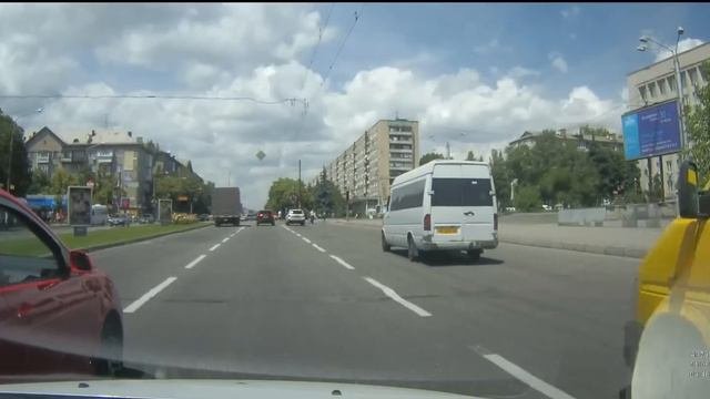 В мире животных на дороге