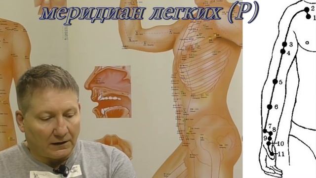 Секреты китайской медицины (3). Инь и Ян руки. Меридианы: Легких (Р), Перикарада(МС), Сердца(С).