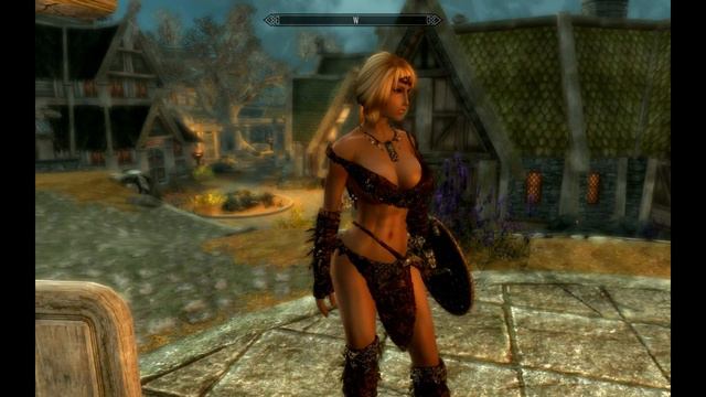 Dovahkiin Mercenary Gear
