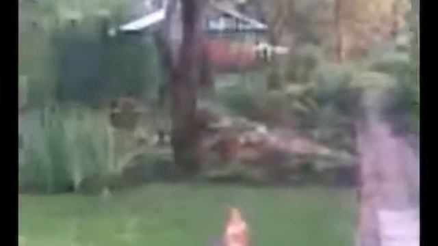 Мистика видео  ЗАСНЯЛИ РЕАЛЬНОГО ПРИЗРАКА И ЭТО ШОКИРОВАЛО МНОГИХ
