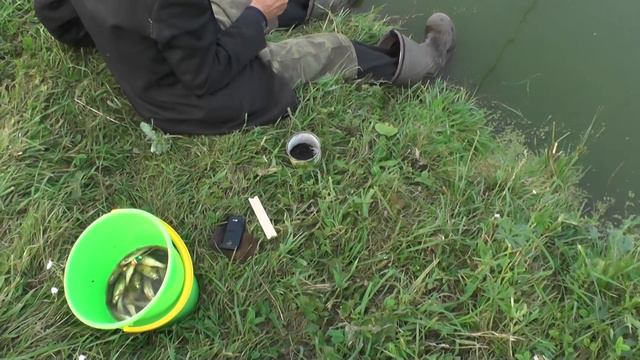 Рыбалка в воскресный день на лагерном пруду.  28. 08. 2016.  Посёлок Потеряевка.