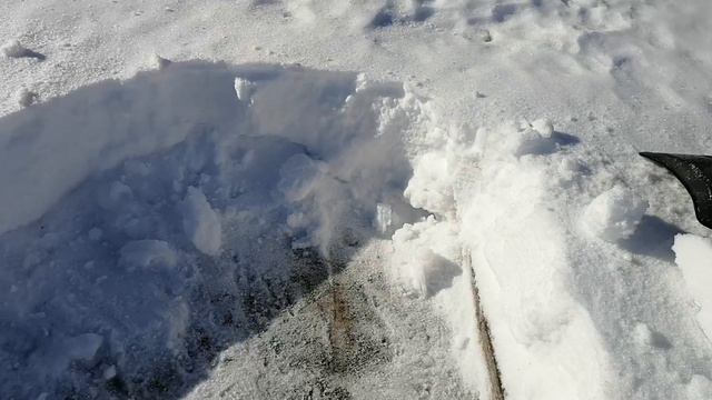 Весенние работы в теплице