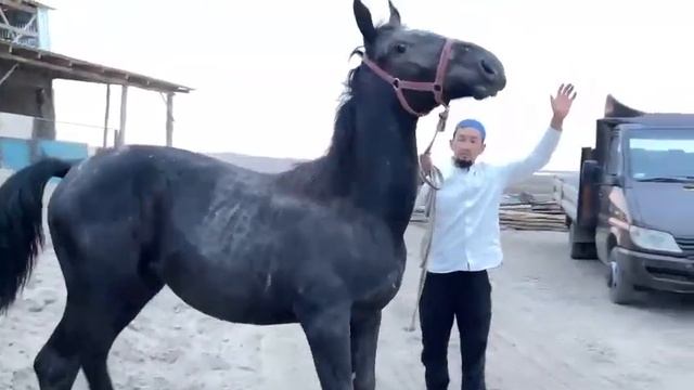 30 сентября 2023 г.
