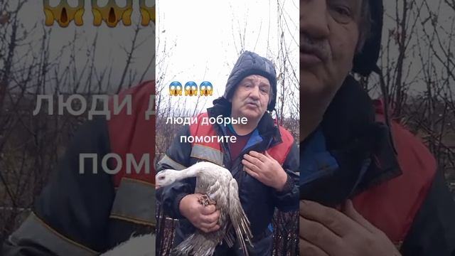 еее