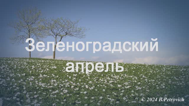 Зеленоградский апрель