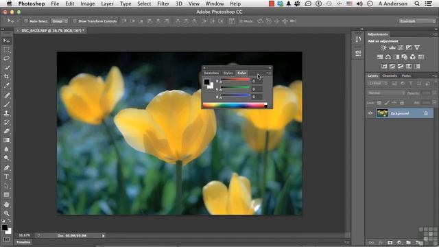 Master Adobe Photoshop 9