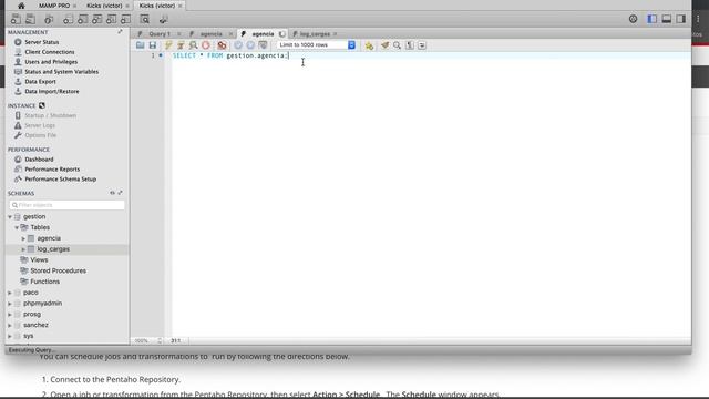 Pentaho - Automatic Job Run using Windows TS