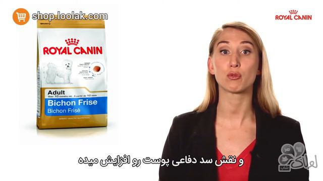 پت شاپ لولاک | غذای خشک سگ های نژاد بیچون فرایز | غذای اصلی سگ