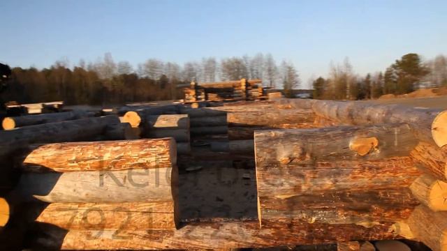 Экскурсия на площадке Где рождается мечта KeloForest