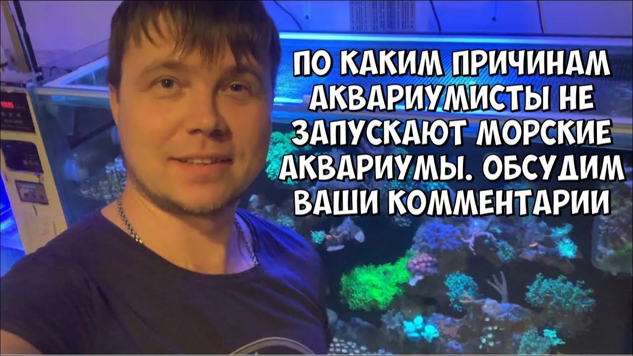 По каким причинам аквариумисты не запускают морские аквариумы | Обсудим ваши комментарии