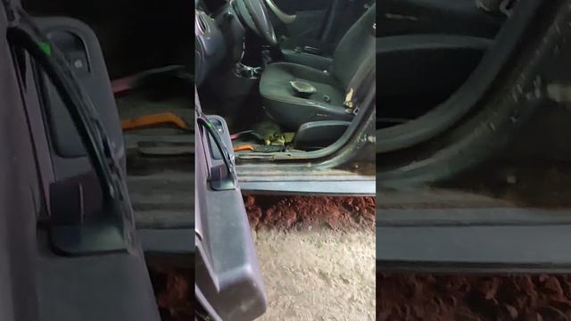 Рено Дастер разборка обшивки