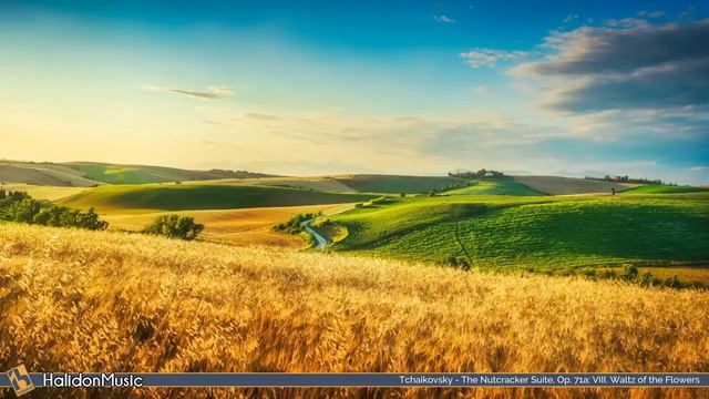 Подбор: самая красивая классическая музыка .