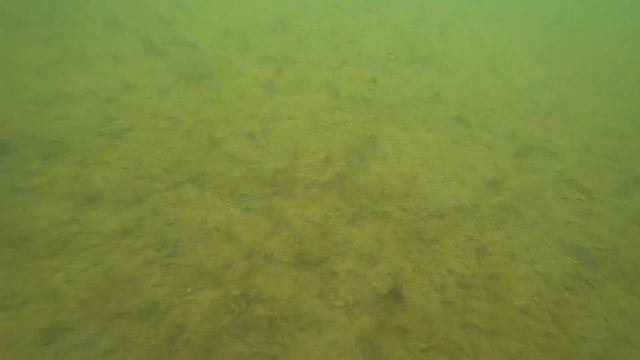 Игра Smith Surger 80S. Подводные съемки. Underwater