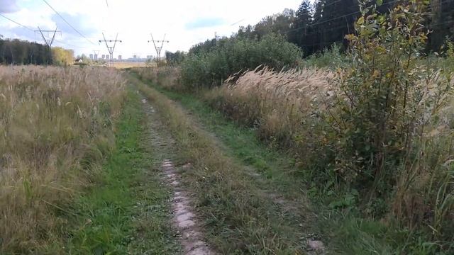 Забыл, о чем говорил