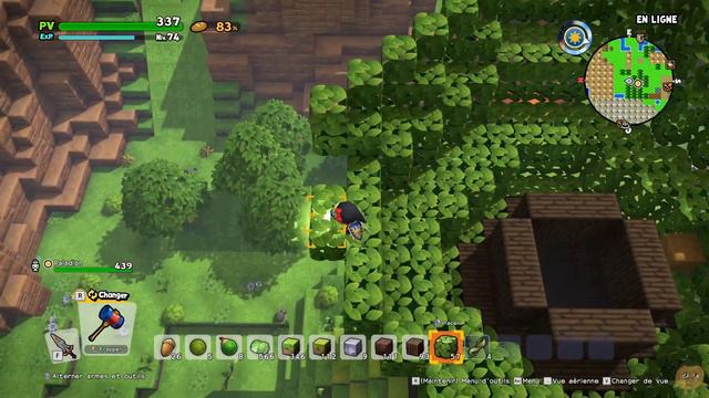 Multi avec  @Paladion2000  sur Dragon Quest Builders 2