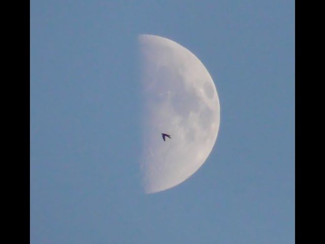 22/08/05 Moon 20:15 msk