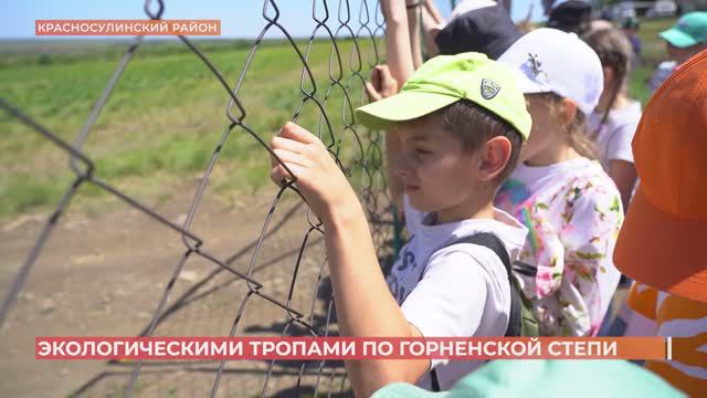 Школьники прошли по экологическому маршруту "Горненская степь"
