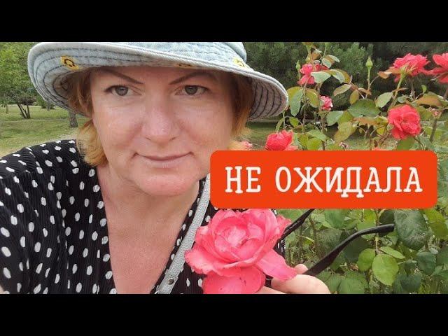 Семья Приятная неожиданность  @BELKA_NA_MORE