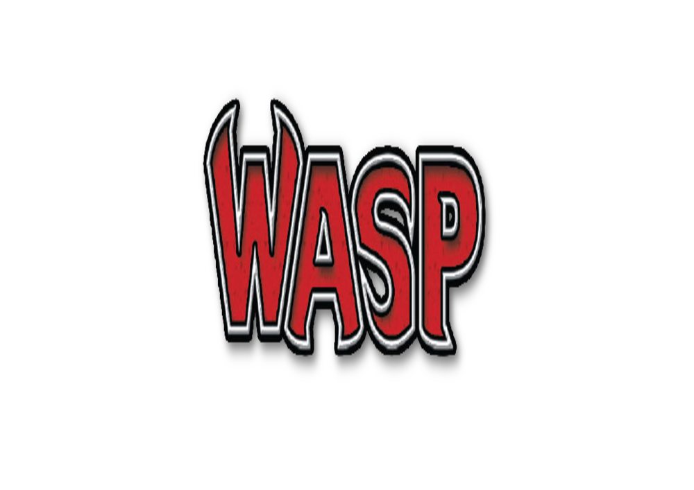 Wasp (Janet Van Dyne) Biography