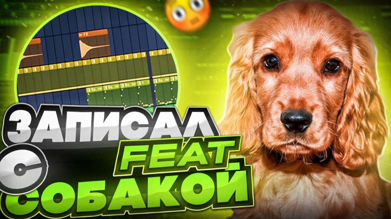 ЗАПИСАЛ ХИТ С СОБАКОЙ В FL STUDIO ?