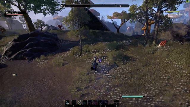 The Elder Scrolls Online #48 (Чародейка)
