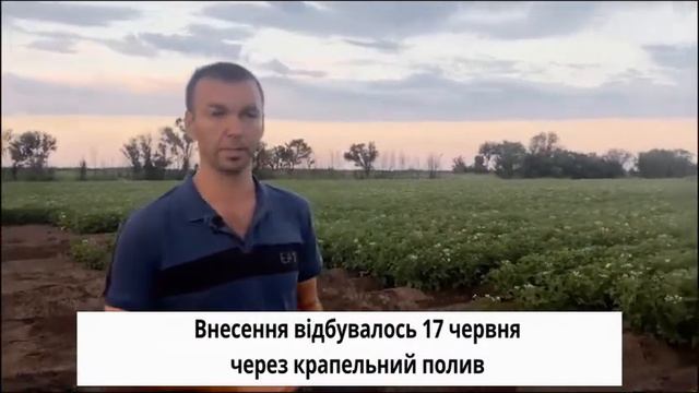Дія Agriful на полі з картоплею, зокрема вплив на засоленість після поливу крапельним зрошенням