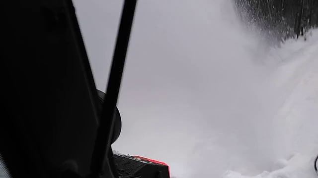 Nuoska vs esko 300