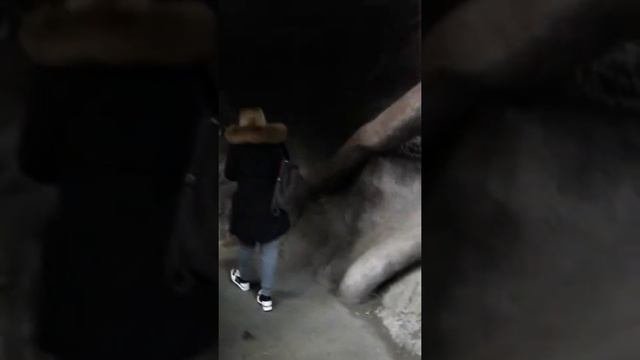 ЕДЕМ В ПРАГУ !!! 2 ЧАСТЬ ПРАЖСКИЙ ЗООПАРК