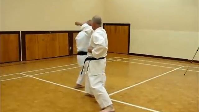 Kihon Ippon Kumite - oi zuki jodan