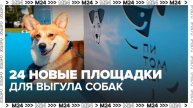 24 новые площадки для выгула собак появятся в Москве - Москва 24