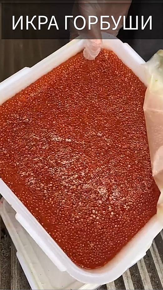 Лососевая икра горбуши, кеты, чавычи и нерки. Красное золото Камчатки