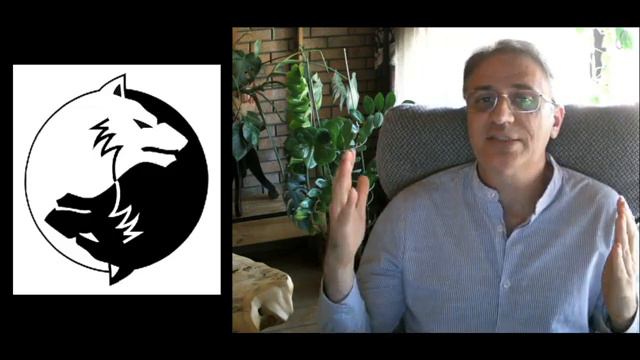 экстра-ментальное сознание4.mp4