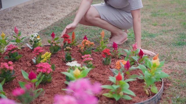 Choosing flowers for my garden at a flower shop Planting healthy vegetables