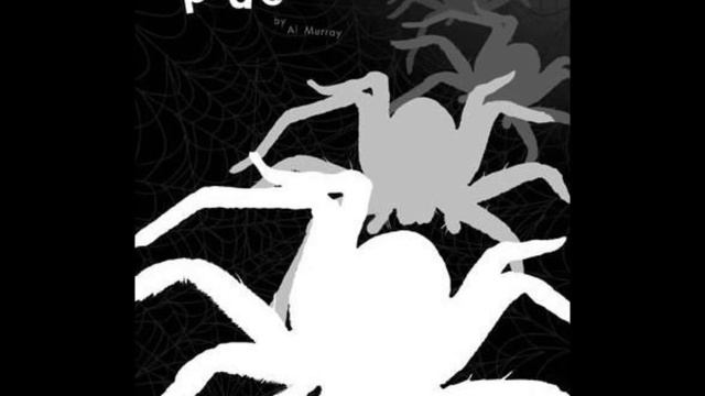 Drum Cadence Jungle Spider
