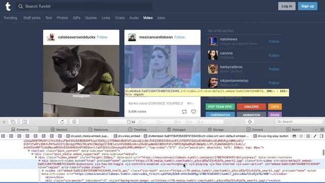How to dowload Tumblr videos on MacBook (02/18)