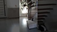 Дом в Таврово-8 Белгородской области.