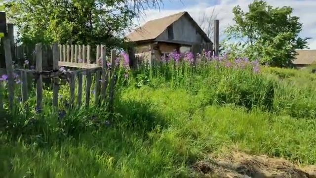 Село ИнясевоРомановский район  Саратовская область