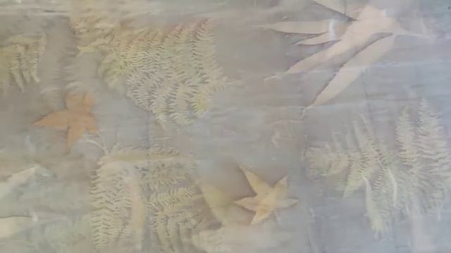Видеозарисовка Окрашивание в технике Медиумпринт. Eco-printing with dying fabric technique.