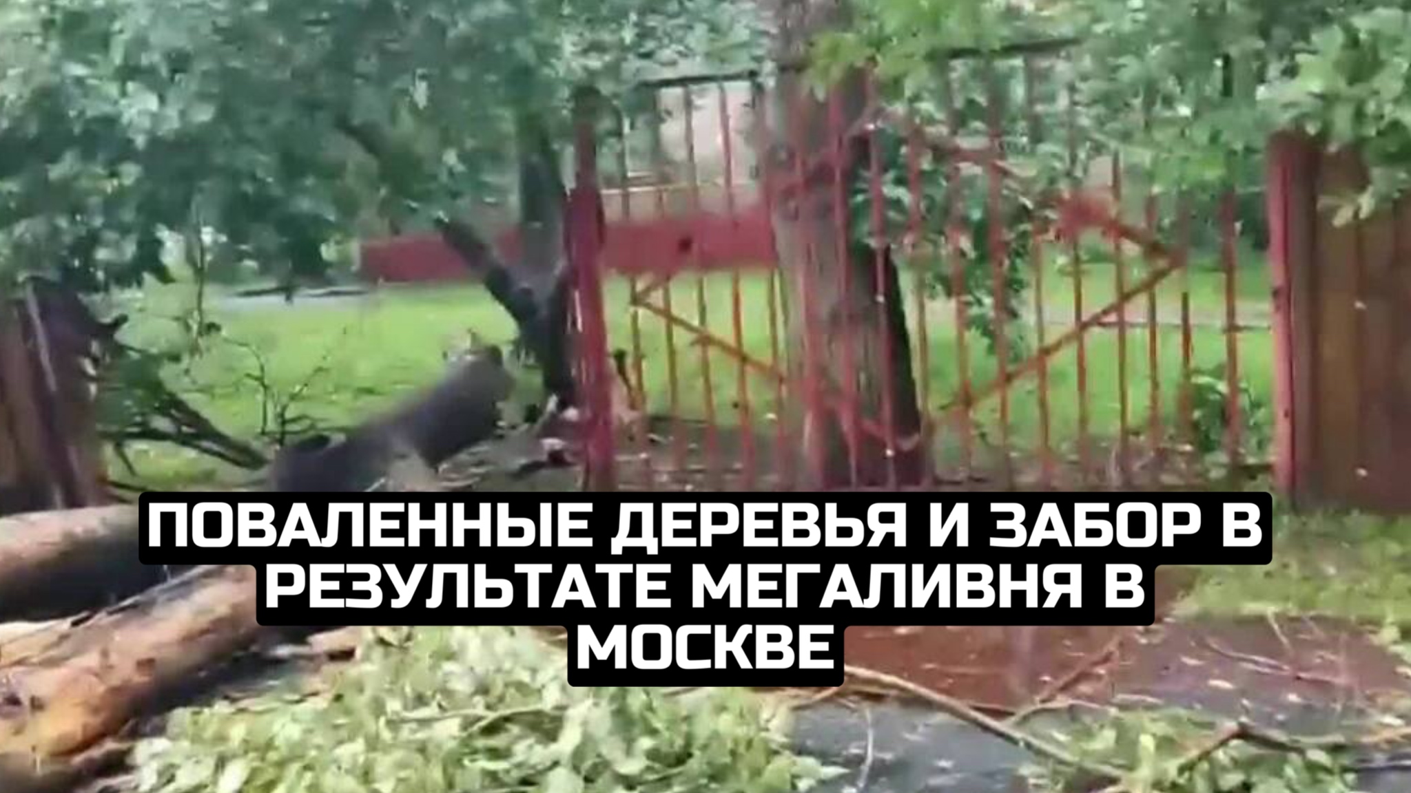 Поваленные деревья и забор в результате мегаливня в Москве
