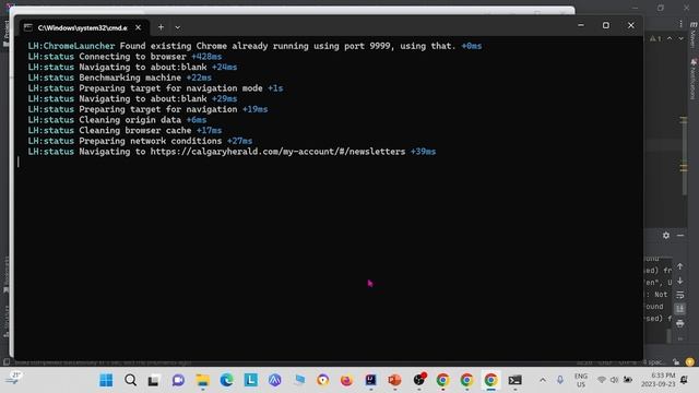 How to use lighthouse for authenticated web pages